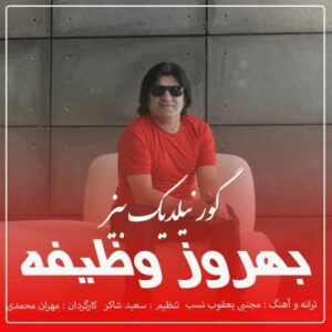 دانلود آهنگ بهروز وظیفه گور نیلدیک بیز